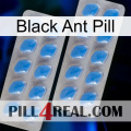 Black Ant Pill 23